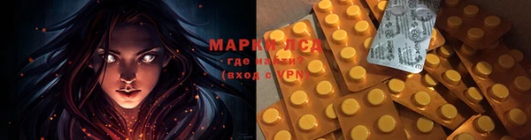 дмт Белокуриха