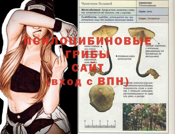 MDMA Premium VHQ Белоозёрский