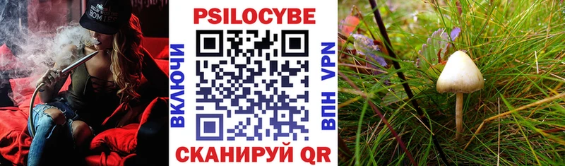 купить  сайты  shop какой сайт  МЕГА tor  Галлюциногенные грибы Cubensis  Верещагино 